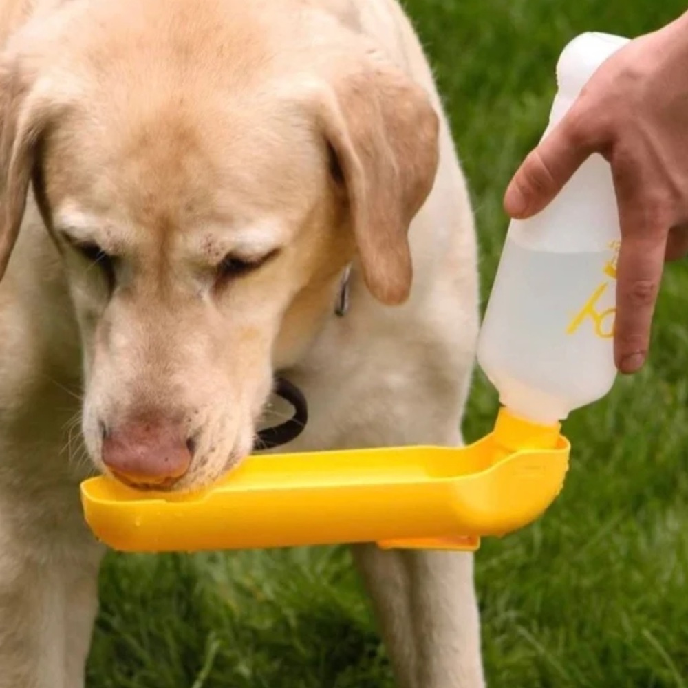 NWT Gulpy Pet Water Dispenser, Yellow